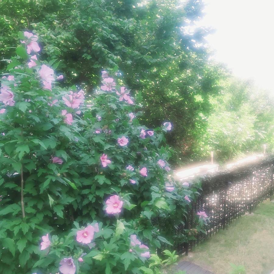 Saint Nicholas Varna Lovely 2 Bedroom Apartment With Sunny Garden Exterior photo